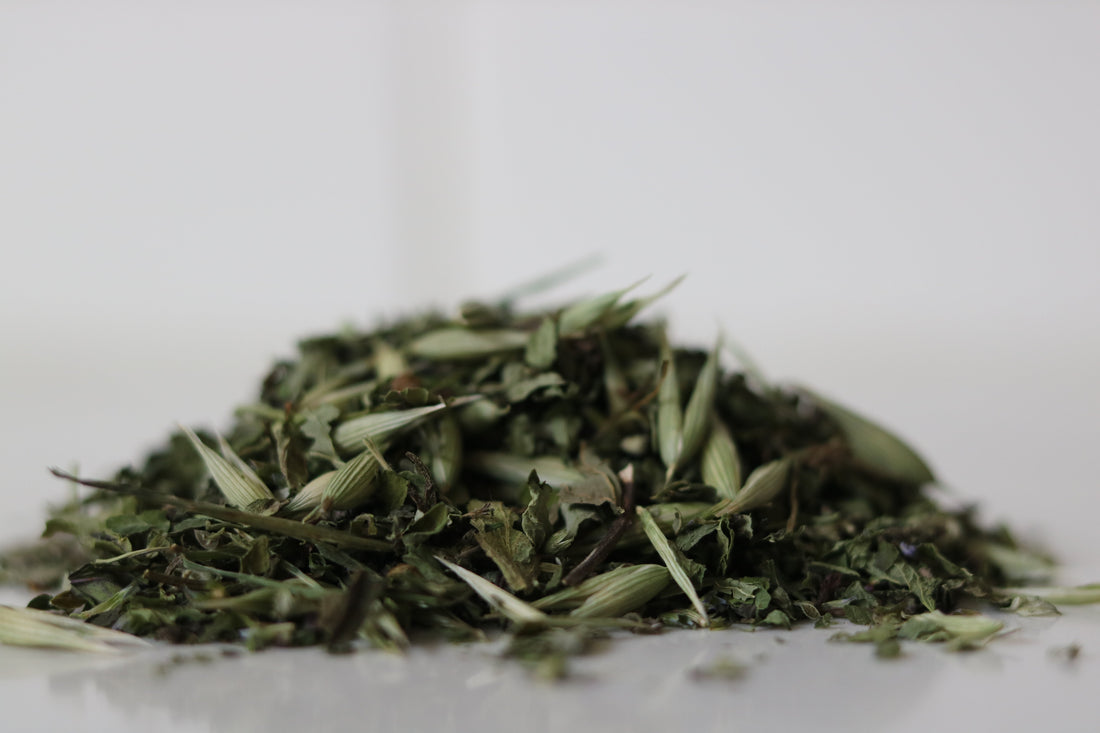 If you have ever wondered, is tea good for skin, the answer may pleasantly surprise you. The health of your skin is closely connected to hydration, inflammation levels, and antioxidant intake.