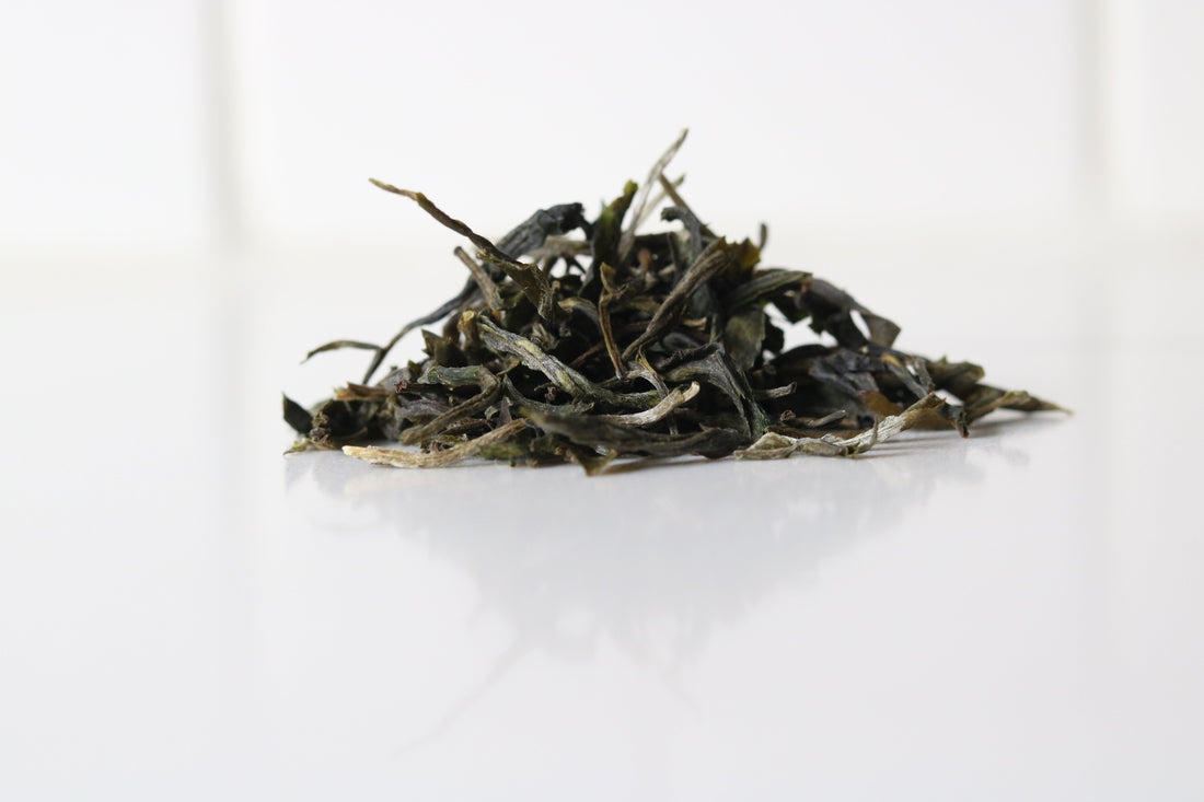 Types of Tea Explained – From Green to Herbal