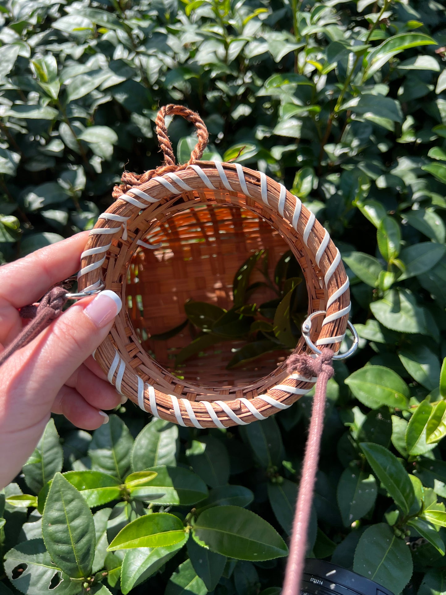 White Peony Tea - subtle + hand-harvested