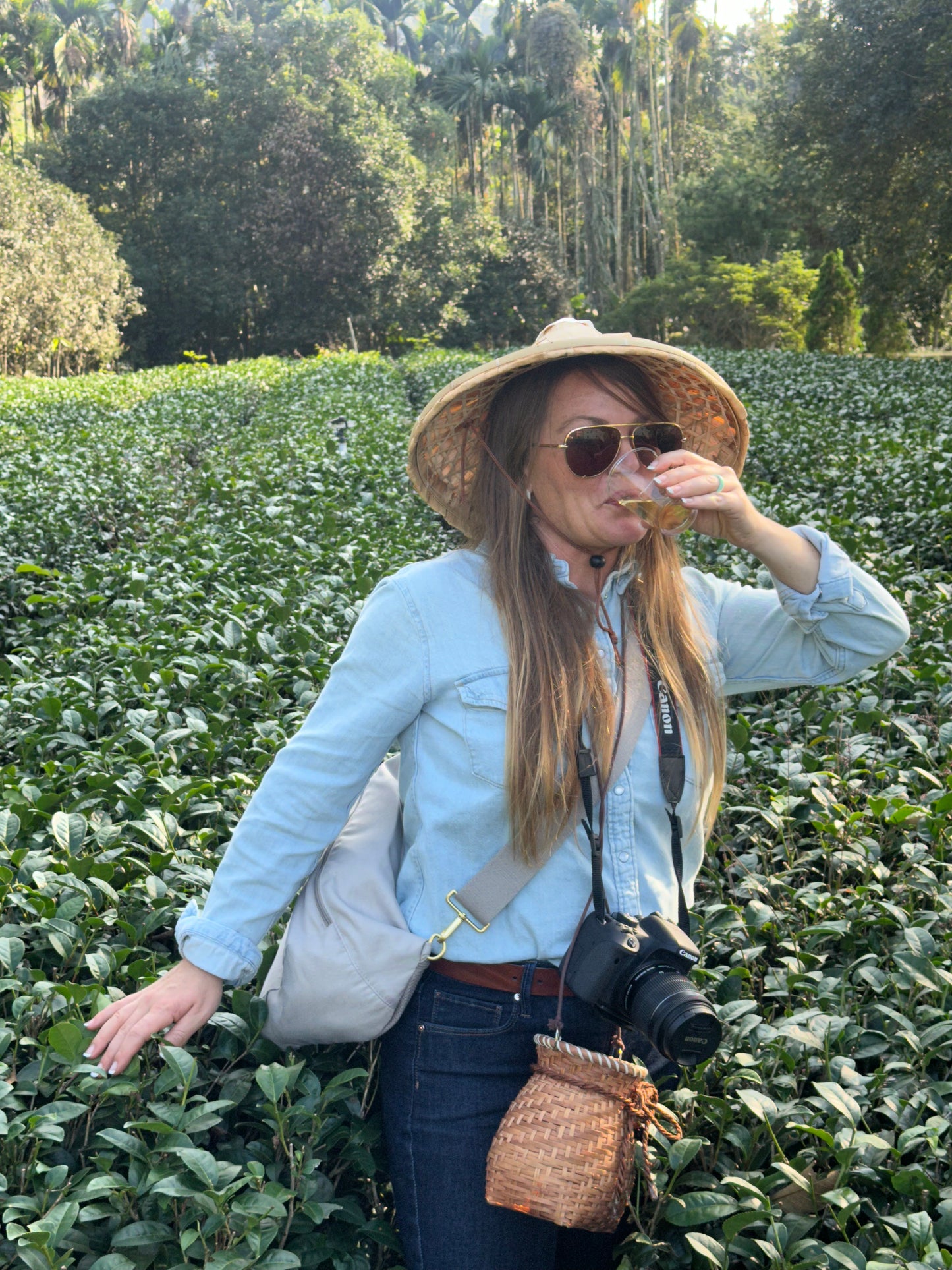 Taiwanese Mountain Oolong
