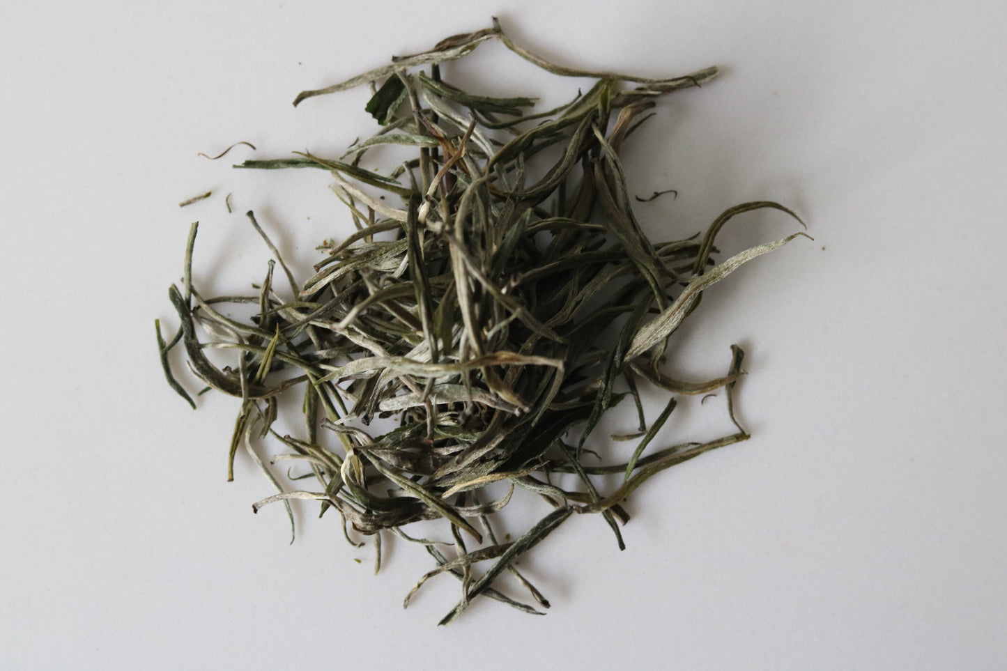 White Peony Tea - subtle + hand-harvested